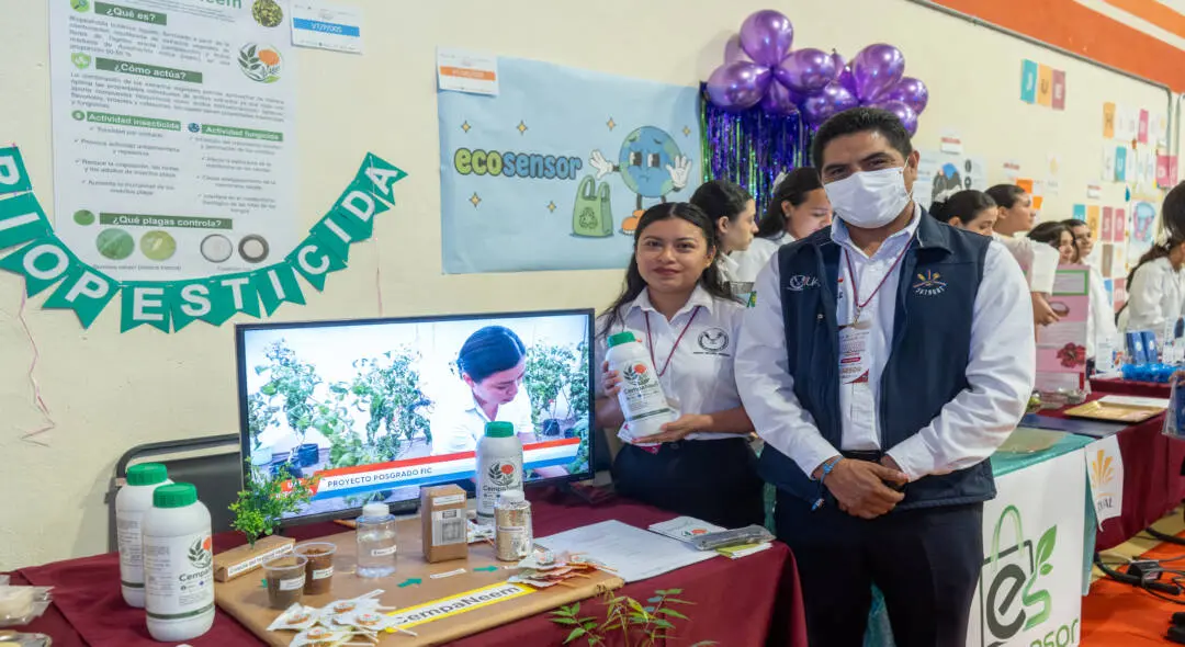 Desarrolla alumna de la UAT biopesticida que elimina plagas agrícolas