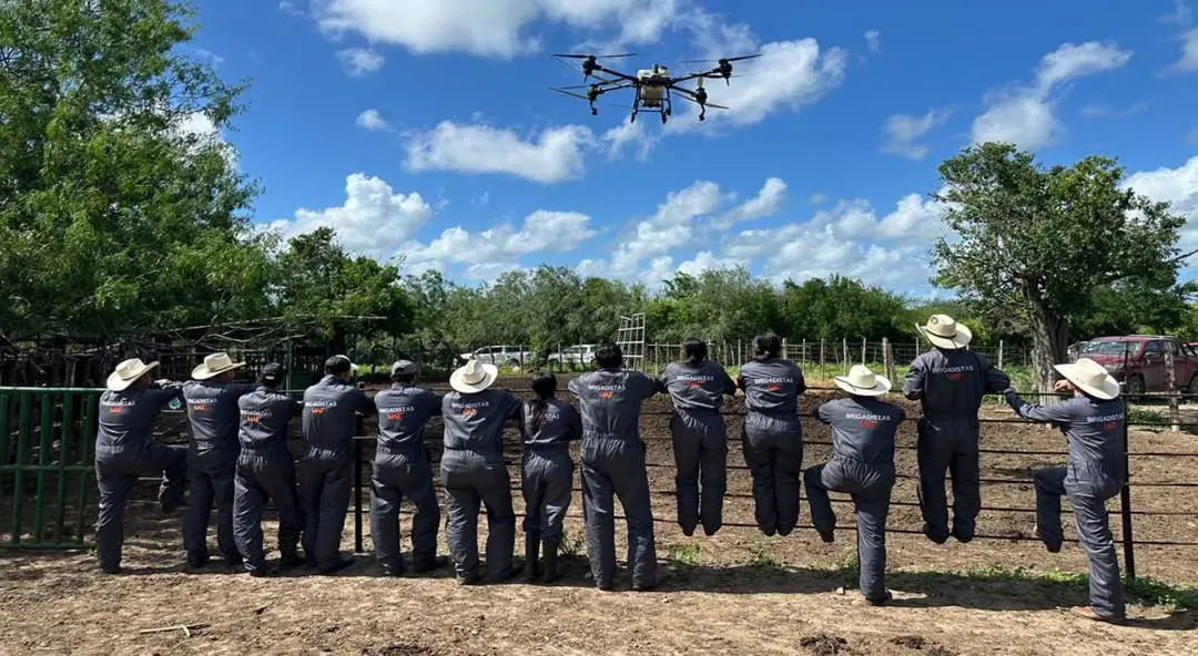 Refuerza la UAT brigadas de contención frente al gusano barrenador en Tamaulipas